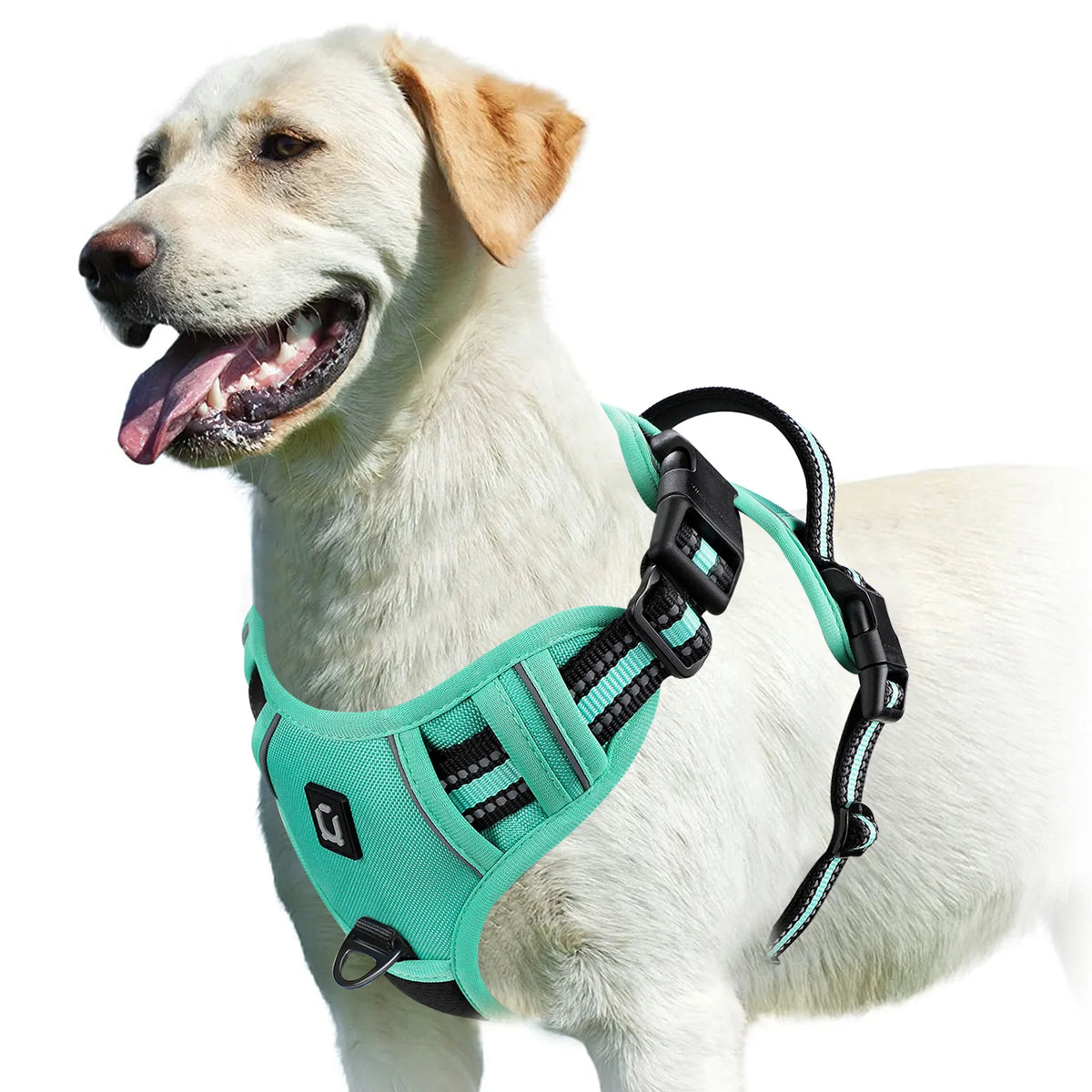 green Color No-Pull Reflective Dog Harness Vest with Control Handle