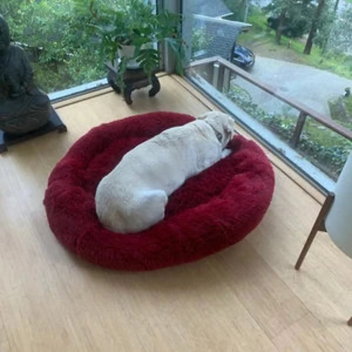 Calming Donut Dog Bed – Plush Orthopedic Pet Sofa