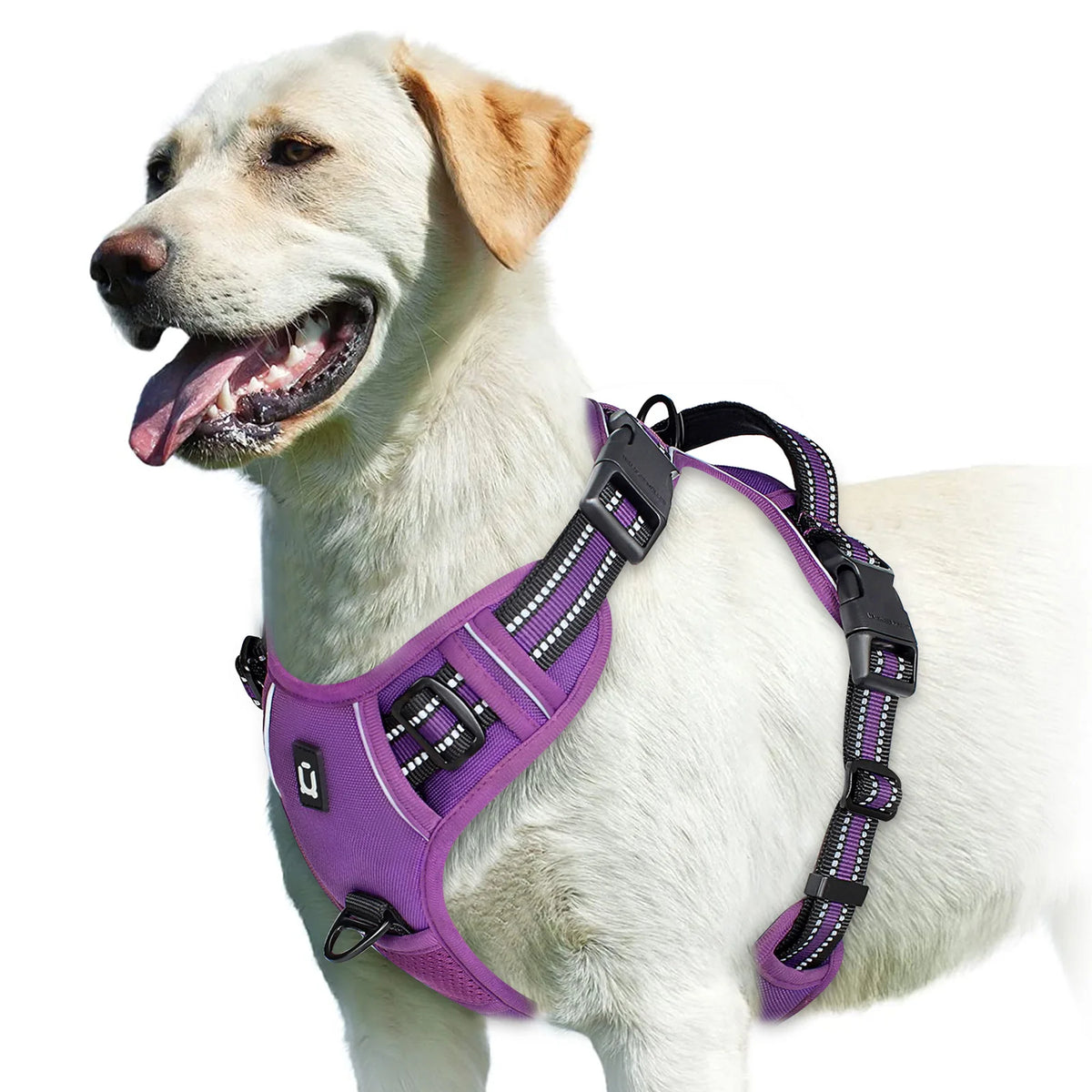 PURPLE Color No-Pull Reflective Dog Harness Vest with Control Handle